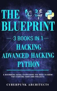 bokomslag Python & Hacking Bundle