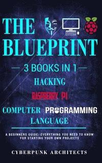 bokomslag Raspberry Pi & Hacking & Computer Programming Languages