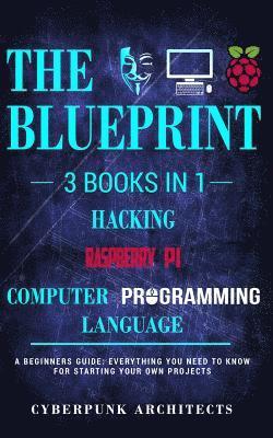 bokomslag Raspberry Pi & Hacking & Computer Programming Languages