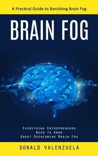bokomslag Brain Fog