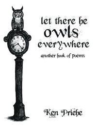bokomslag Let There Be Owls Everywhere