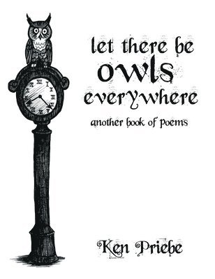 bokomslag Let There Be Owls Everywhere