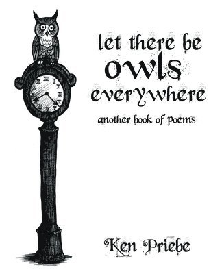 bokomslag Let There Be Owls Everywhere
