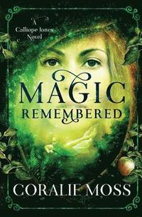 bokomslag Magic Remembered