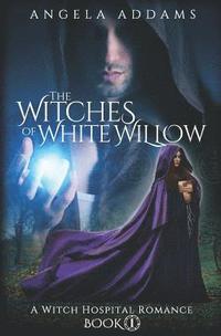 bokomslag The Witches of White Willow: A Witch Hospital Romance