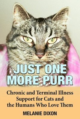 bokomslag Just One More Purr: Chronic and Terminal Illness Support for Cats and the Humans Who Love Them Cat Care Book