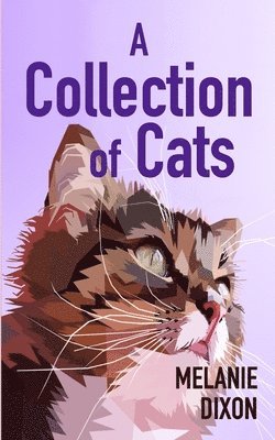 bokomslag A Collection of Cats: Wonderful cat stories for everyone. Stories about clever kittens, magical cats, rescue cats, and just cats. Fun cat st