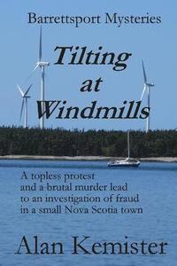 bokomslag Tilting at Windmills