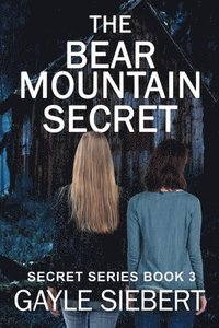 bokomslag The Bear Mountain Secret