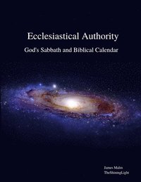 bokomslag Ecclesiastical Authority
