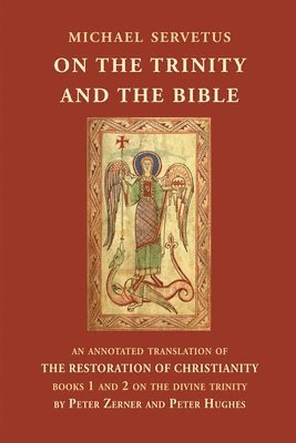 bokomslag On the Trinity and the Bible