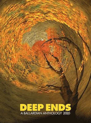 Rick McGrath, Rick Mcgrath - Deep Ends, Inbunden