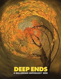 bokomslag Deep Ends