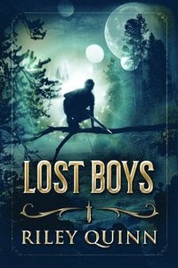 bokomslag Lost Boys