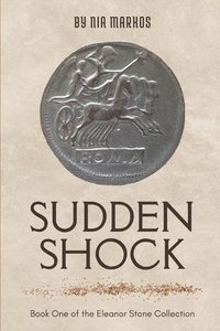 bokomslag Sudden Shock