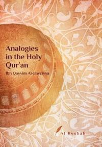 bokomslag Analogies in the Holy Qur'an