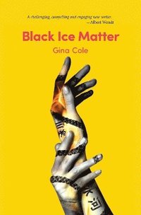 bokomslag Black Ice Matter