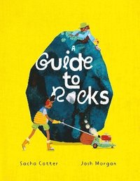 bokomslag Guide To Rocks