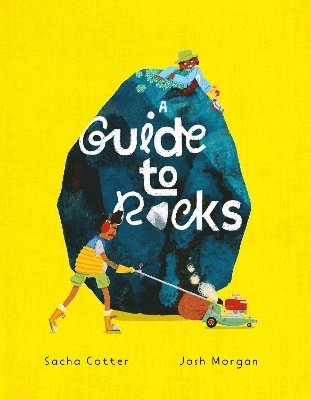 bokomslag Guide To Rocks
