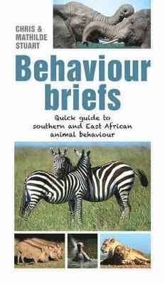 Behaviour briefs