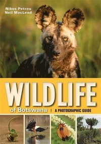 bokomslag Wildlife of Botswana