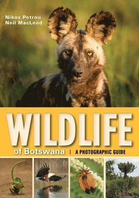 Nikos Petrous, Neil Macleod, Neil MacLeod - Wildlife of Botswana, Häftad