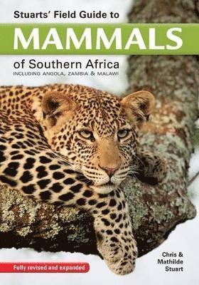 Stuarts' Field Guide to Mammals of Southern Africa 1