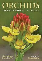 bokomslag Orchids of South Africa
