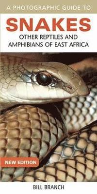 bokomslag Photographic Guide to Snakes, Other Reptiles and Amphibians of East Africa