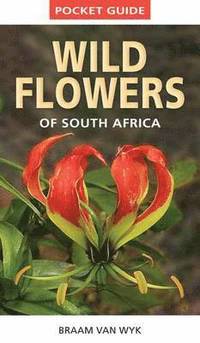 bokomslag Pocket guide: Wild flowers of South Africa