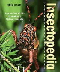bokomslag Insectopedia  The secret world of southern African insects