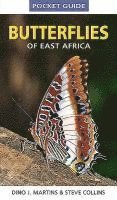 bokomslag Pocket guide butterflies of East Africa