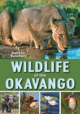 Duncan Butchart - Wildlife of the Okavango, Häftad