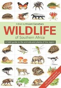 bokomslag The Wildlife of Southern Africa