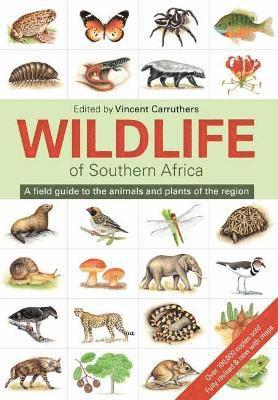 bokomslag Wildlife of Southern Africa