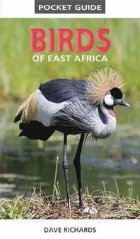 bokomslag Pocket Guide to Birds of East Africa