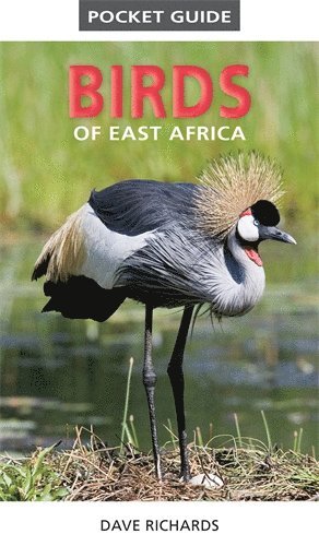 Pocket Guide to Birds of East Africa