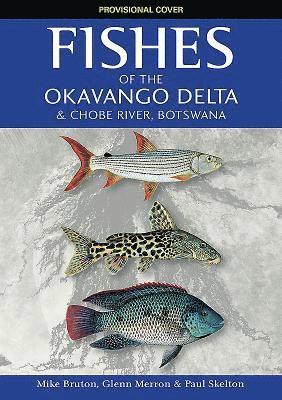 bokomslag Fishes of the Okavango Delta and Chobe River