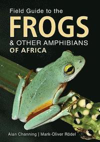 bokomslag Field Guide to Frogs and Other Amphibians of Africa