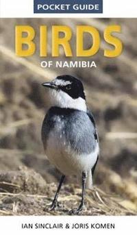 bokomslag Pocket Guide to Birds of Namibia