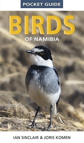 Ian Sinclair, Joris Komen - Pocket Guide to Birds of Namibia, Häftad