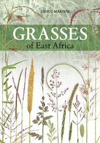 bokomslag Grasses of East Africa