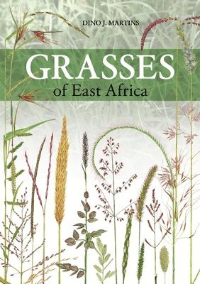 Grasses of East Africa 1