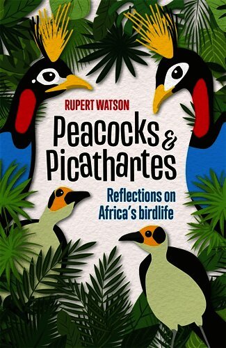 Peacocks and Picathartes