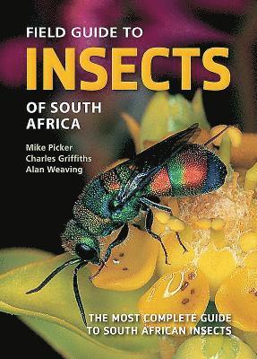 bokomslag Field Guide to Insects of South Africa