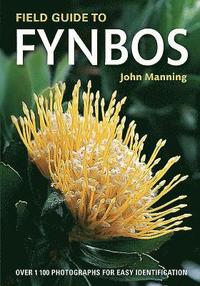 bokomslag Field Guide to Fynbos