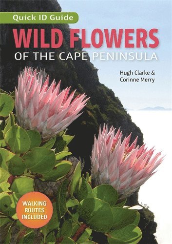 Quick ID Guide: Wild Flowers of the Cape Peninsula