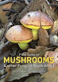 bokomslag Mushrooms and Other Fungi in South Africa