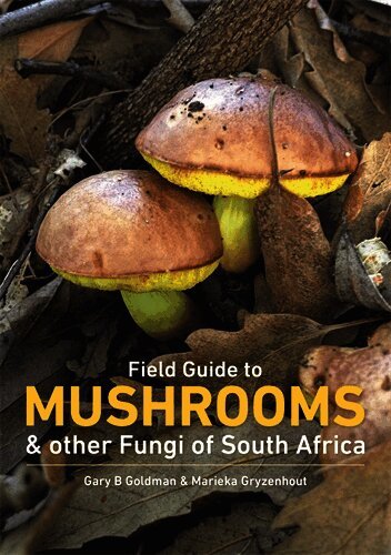 Mushrooms and Other Fungi in South Africa