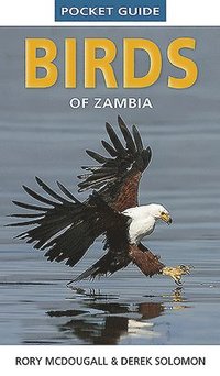 bokomslag Pocket Guide Birds of Zambia